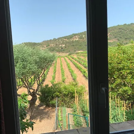 Les Oliviers Apartmán Grimaud