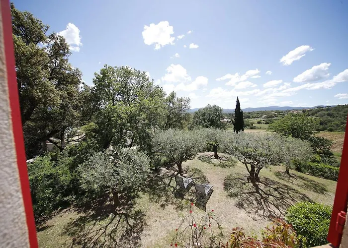 Les Oliviers Grimaud