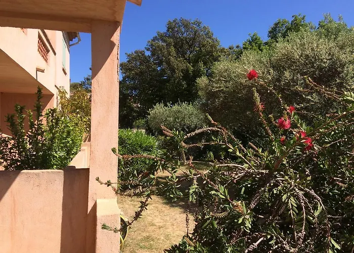 Les Oliviers Grimaud