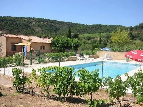 Les Oliviers * Grimaud