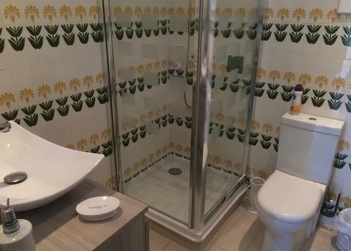 莱斯奥利维斯酒店 *