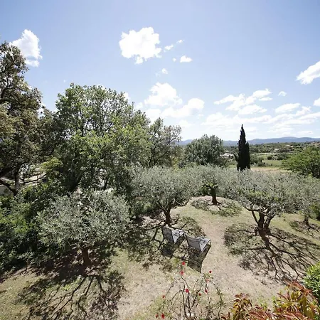 Les Oliviers Grimaud
