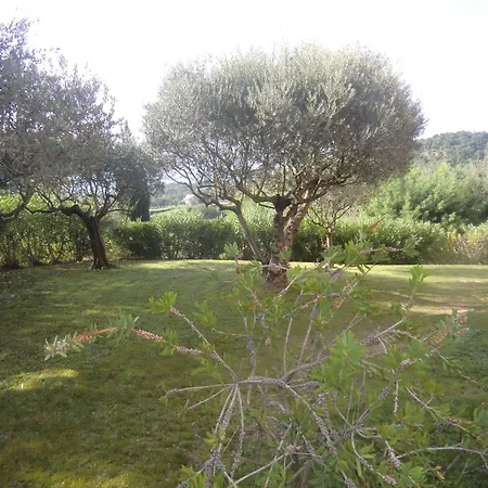 Les Oliviers Apartmán Grimaud