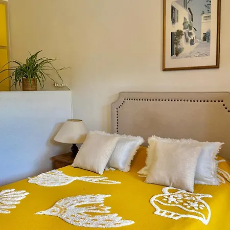 Les Oliviers * Grimaud