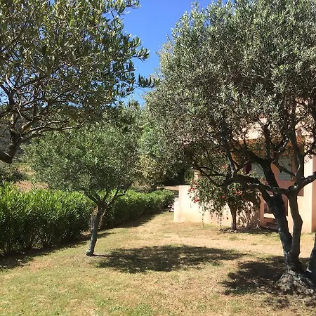 Les Oliviers Grimaud