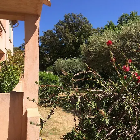 Les Oliviers Grimaud